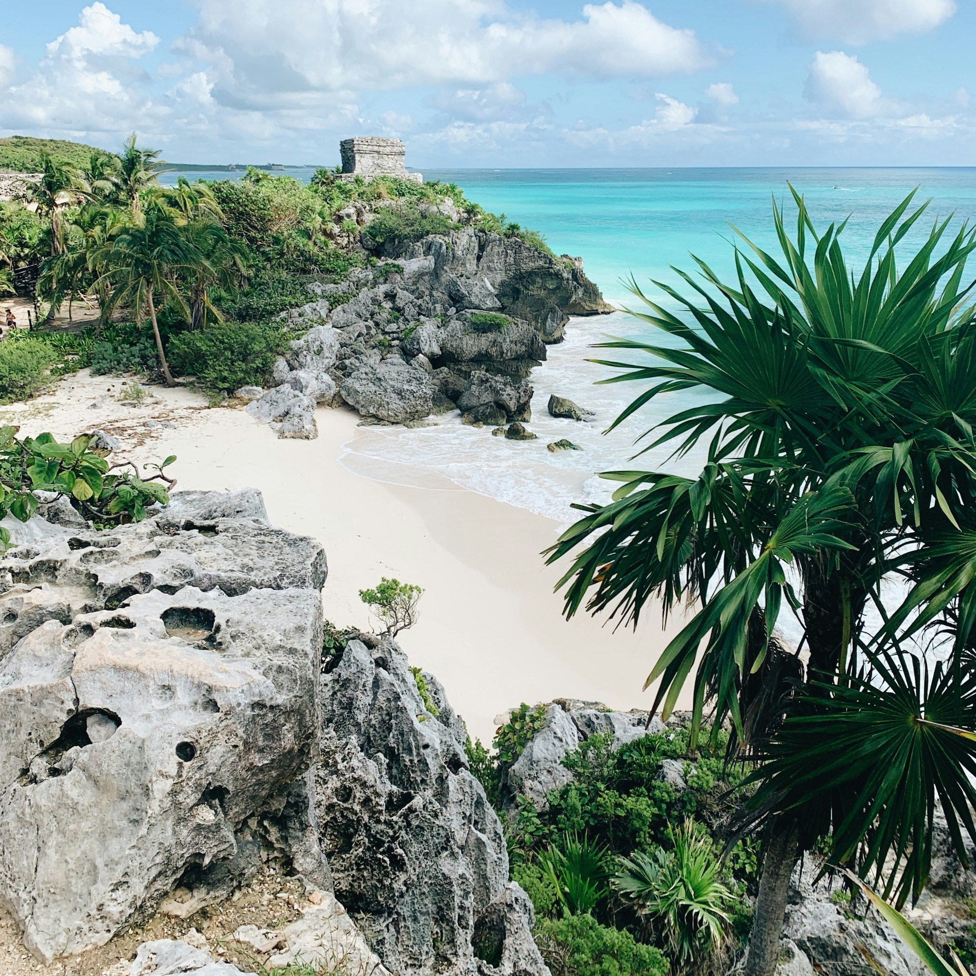 Ancient Tulum ruins overlooking turquoise Caribbean Sea with rocky cliffs and palm trees