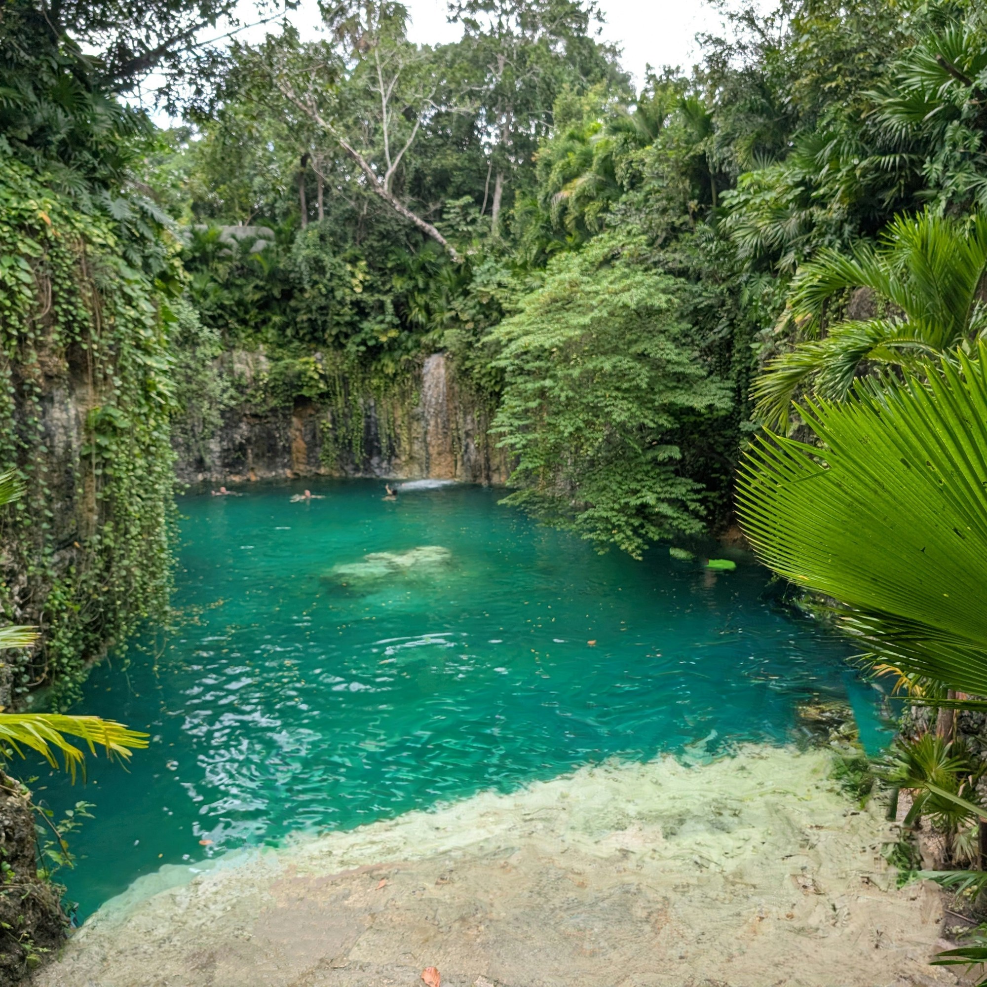 eaceful cenote in Tulum with clear turquoise water and lush jungle surroundings