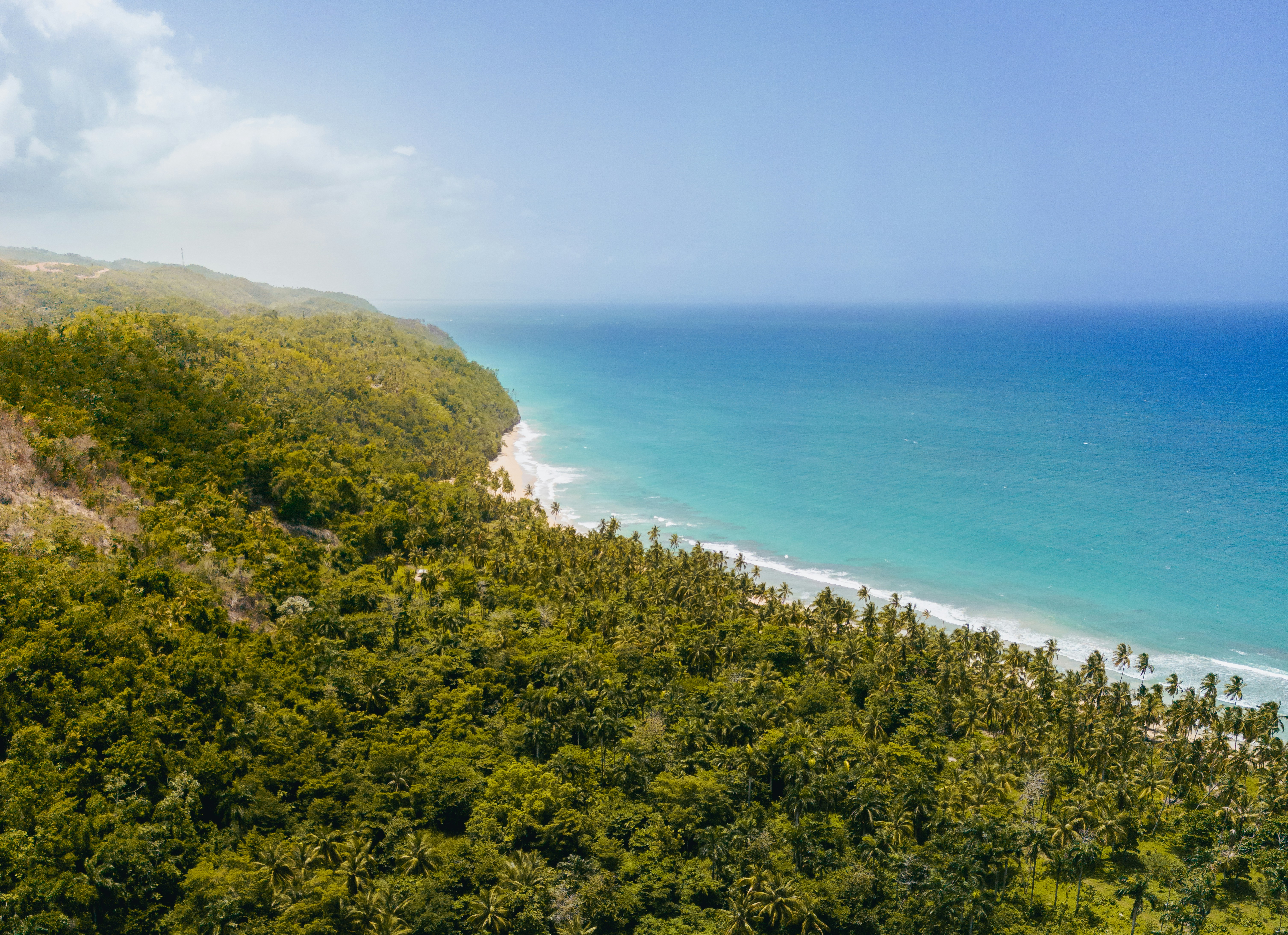 Aerial view of a lush green coastline meeting turquoise waters in la Terrenas, the Dominican Republic, under a clear blue sky.