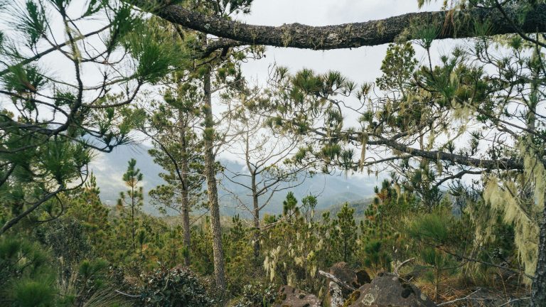 Climate Country Overview for Dominican Republic | Weather Patterns and ...